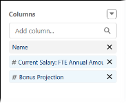 Screenshot showing fte annual amount reporting and bonus projection columns selected for total pay report